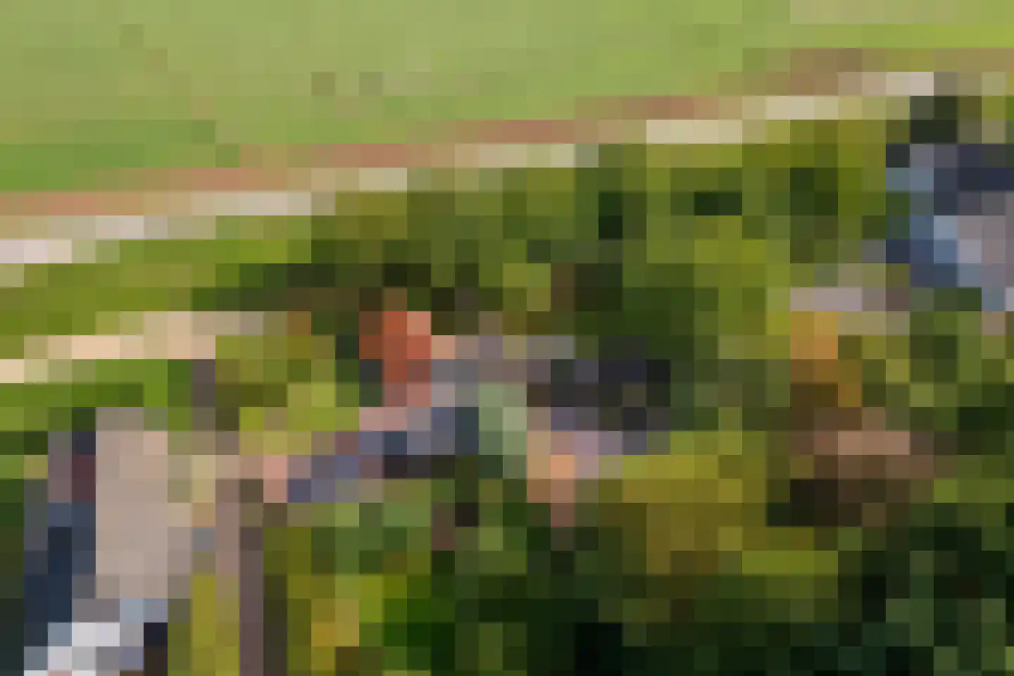 Waalbandijk 36 Varik thumbnail 67
