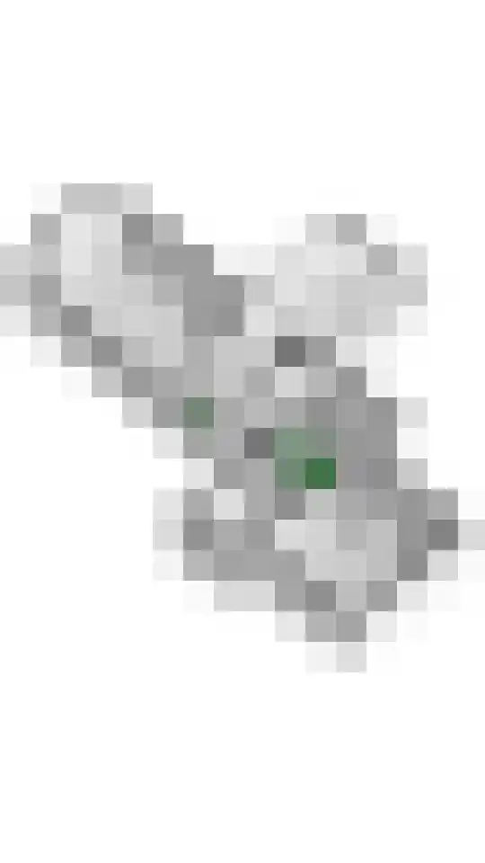 Waalbandijk 36 Varik thumbnail 68