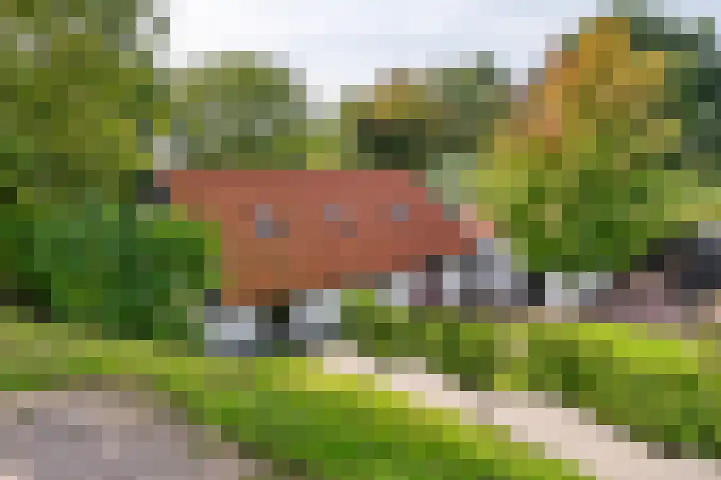 Waalbandijk 36 Varik thumbnail 7