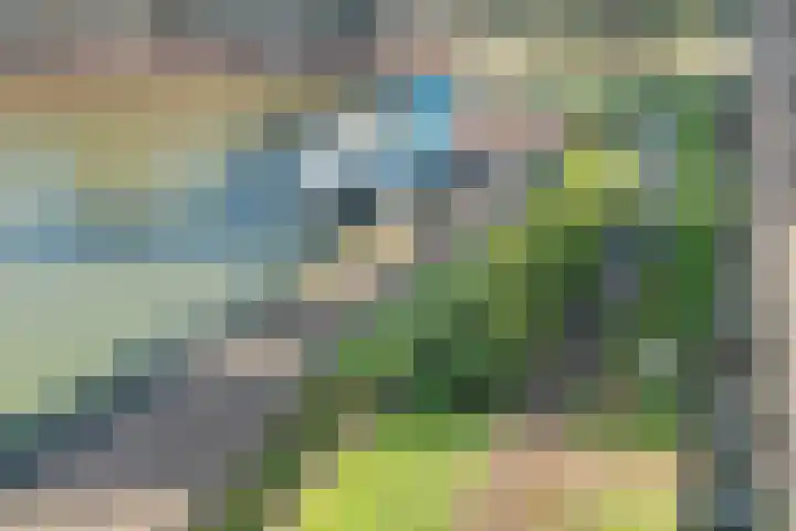 Waalbandijk 393 Nijmegen thumbnail 22