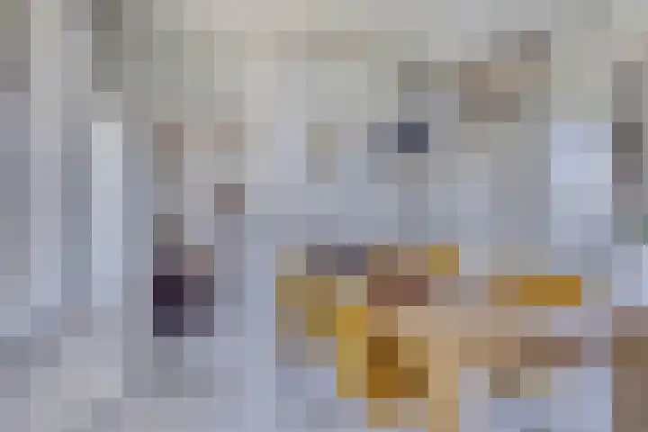 Waalbandijk 40 Gameren thumbnail 11