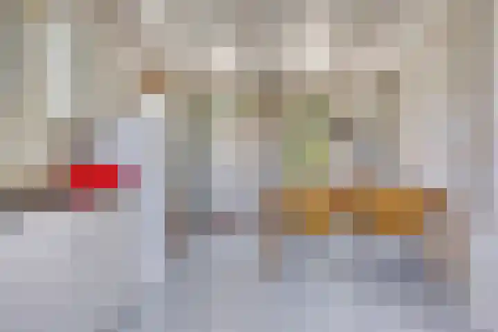 Waalbandijk 40 Gameren thumbnail 13
