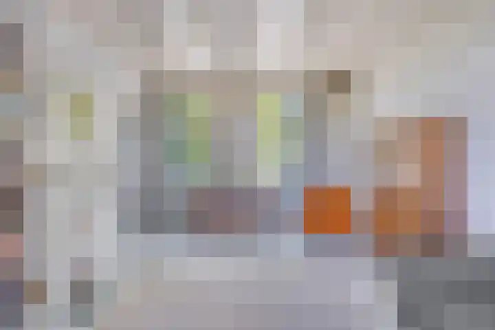 Waalbandijk 40 Gameren thumbnail 19