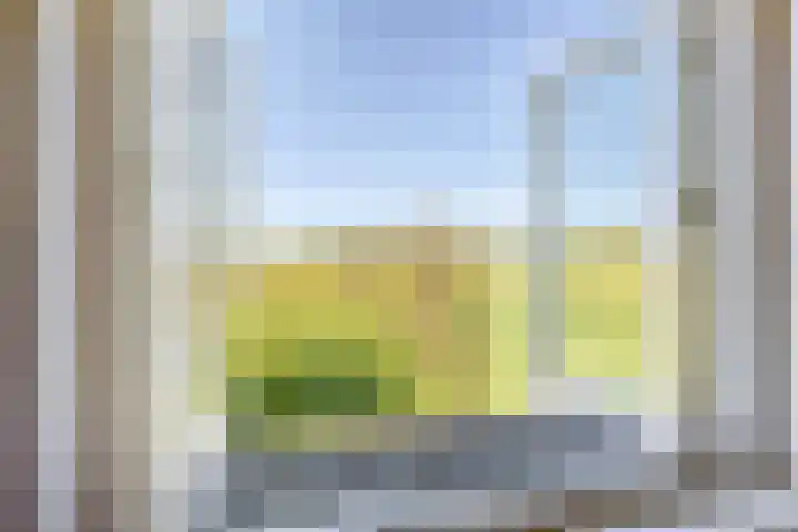 Waalbandijk 40 Gameren thumbnail 22