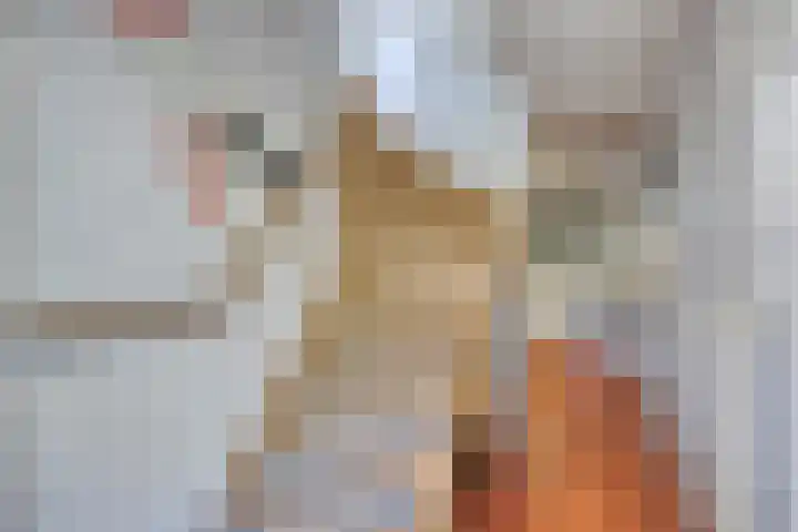Waalbandijk 40 Gameren thumbnail 23