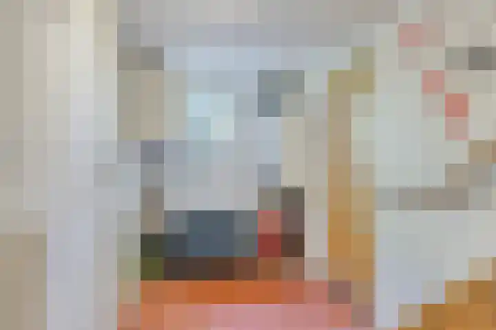 Waalbandijk 40 Gameren thumbnail 24