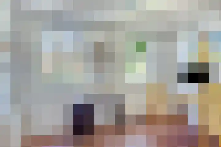 Waalbandijk 40 Gameren thumbnail 25