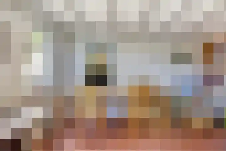 Waalbandijk 40 Gameren thumbnail 26
