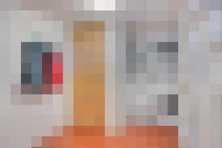 Waalbandijk 40 Gameren thumbnail 27