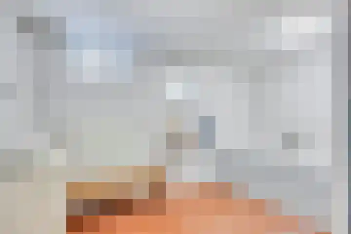 Waalbandijk 40 Gameren thumbnail 28