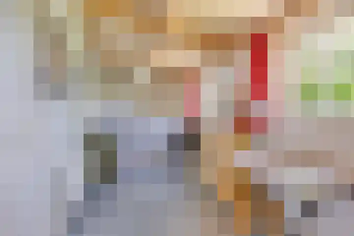 Waalbandijk 40 Gameren thumbnail 31