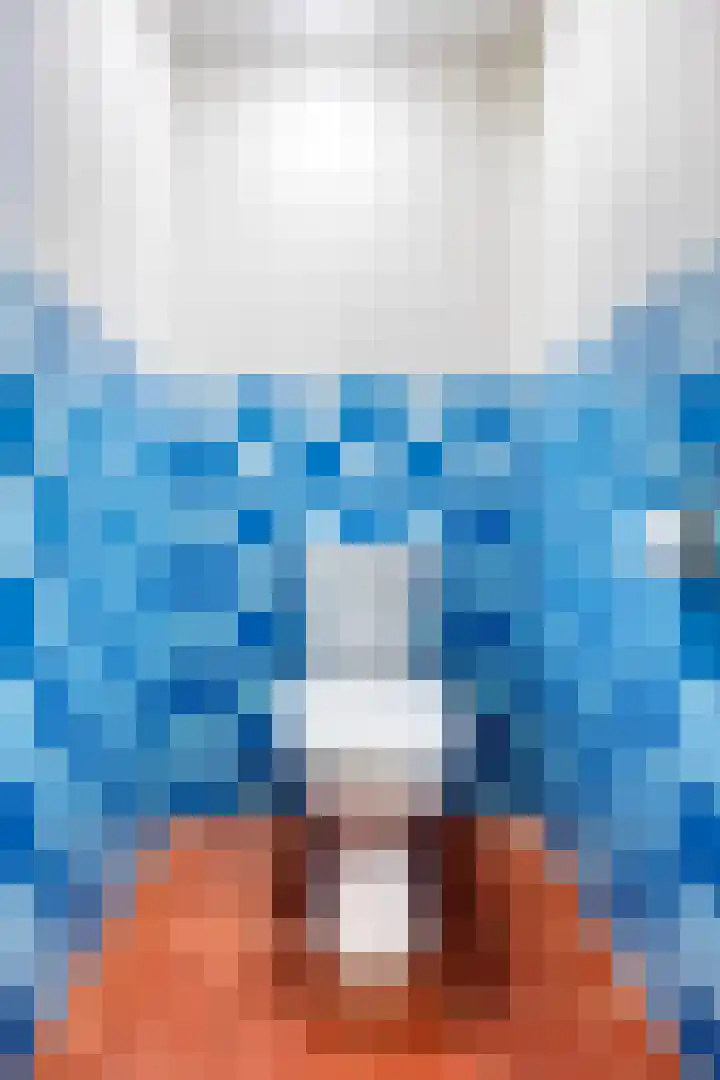 Waalbandijk 40 Gameren thumbnail 33