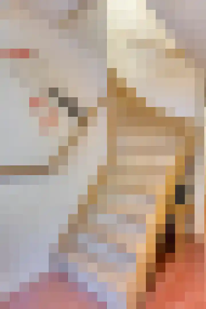 Waalbandijk 40 Gameren thumbnail 34