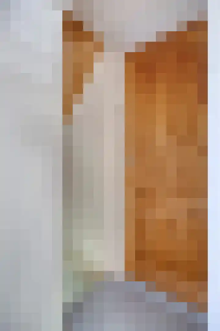 Waalbandijk 40 Gameren thumbnail 35