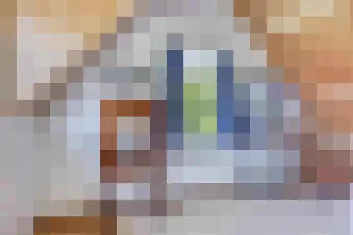 Waalbandijk 40 Gameren thumbnail 37