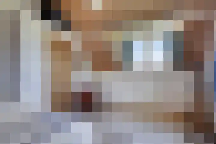 Waalbandijk 40 Gameren thumbnail 38