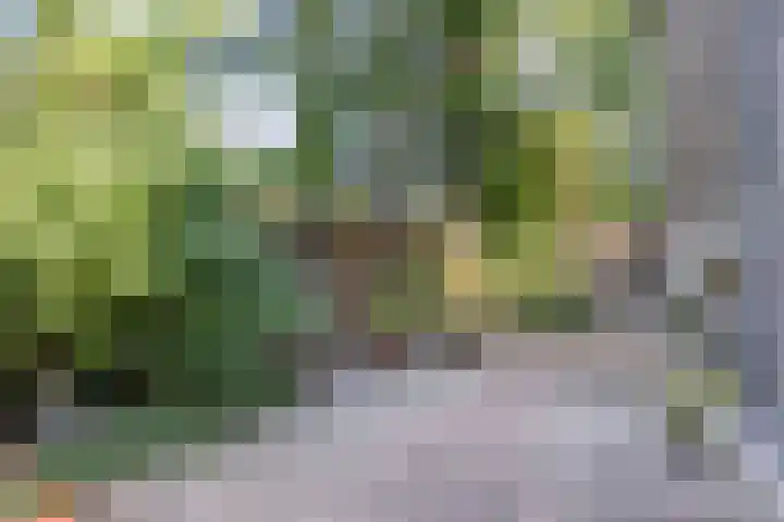 Waalbandijk 40 Gameren thumbnail 41