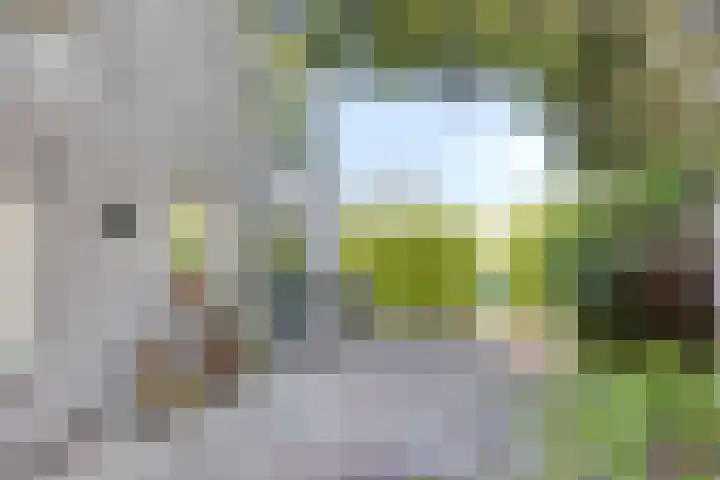 Waalbandijk 40 Gameren thumbnail 42