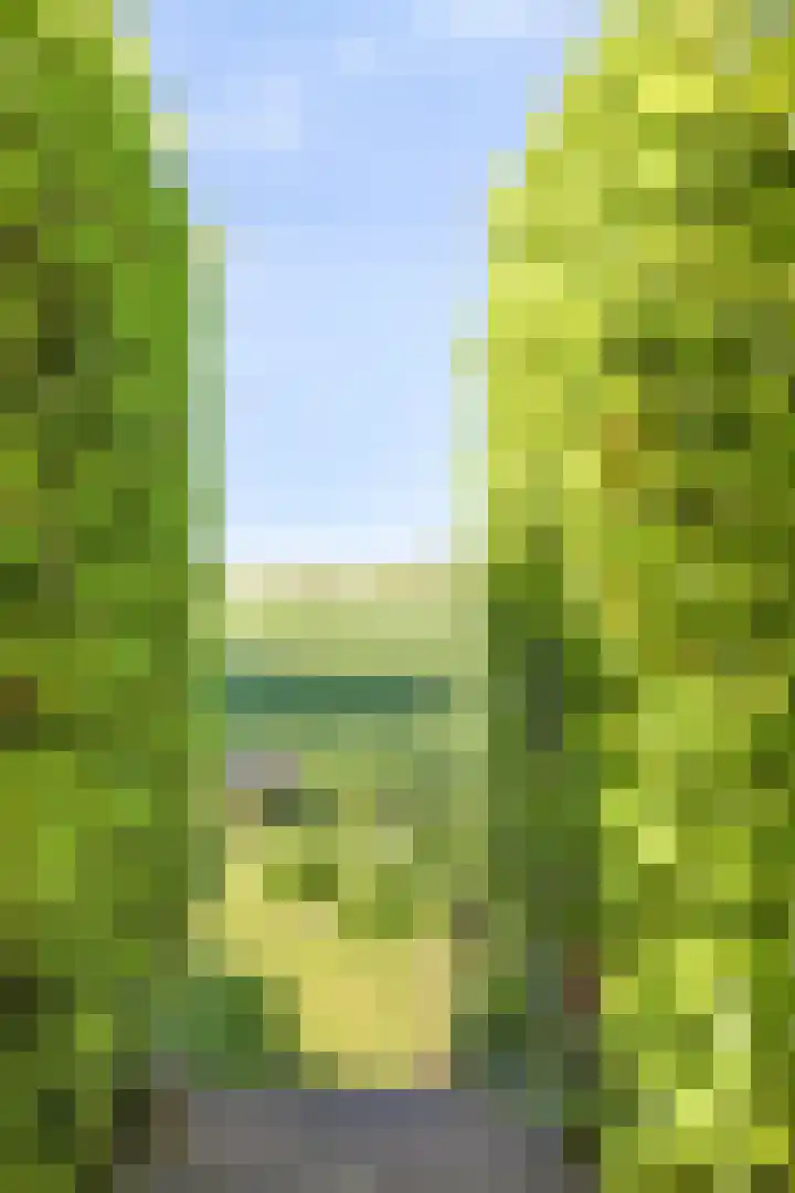 Waalbandijk 40 Gameren thumbnail 45