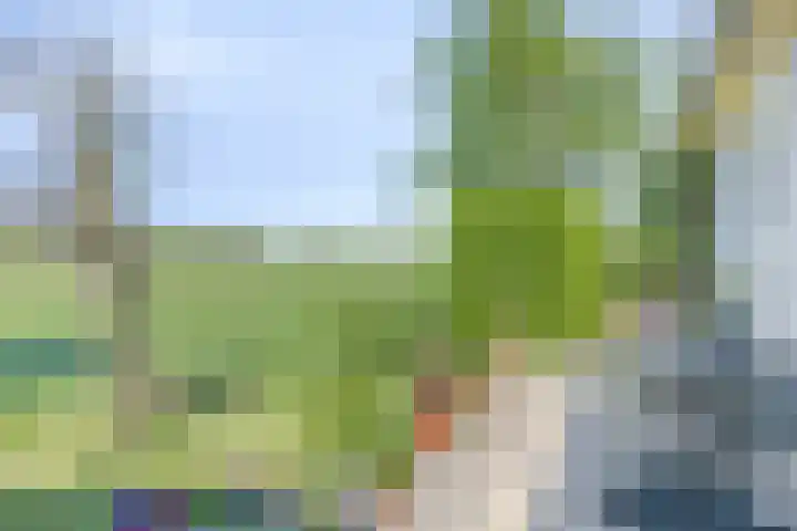 Waalbandijk 40 Gameren thumbnail 46