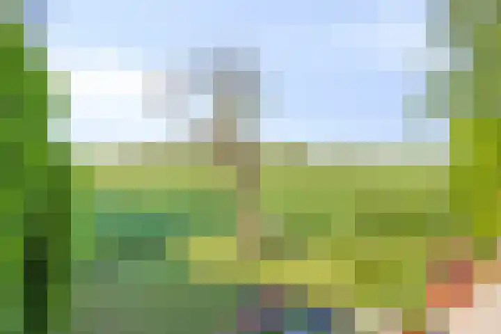 Waalbandijk 40 Gameren thumbnail 47