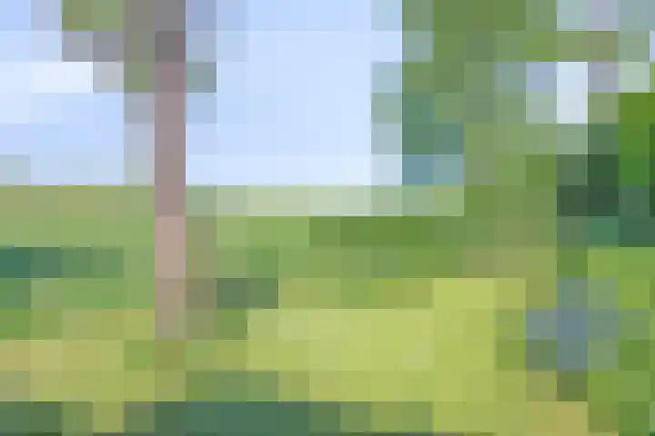 Waalbandijk 40 Gameren thumbnail 48