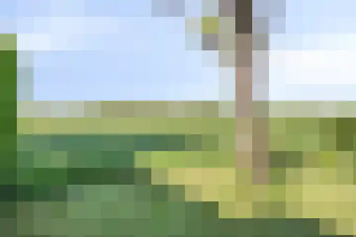 Waalbandijk 40 Gameren thumbnail 49