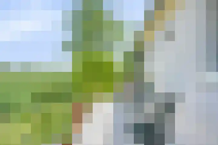 Waalbandijk 40 Gameren thumbnail 5