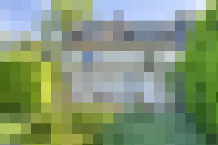 Waalbandijk 40 Gameren thumbnail 50