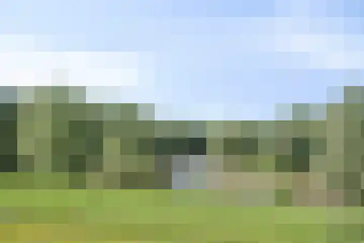 Waalbandijk 40 Gameren thumbnail 51