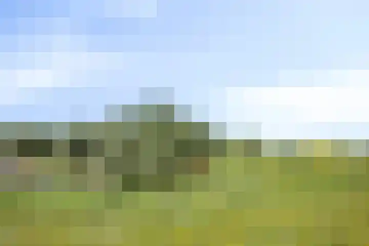 Waalbandijk 40 Gameren thumbnail 52