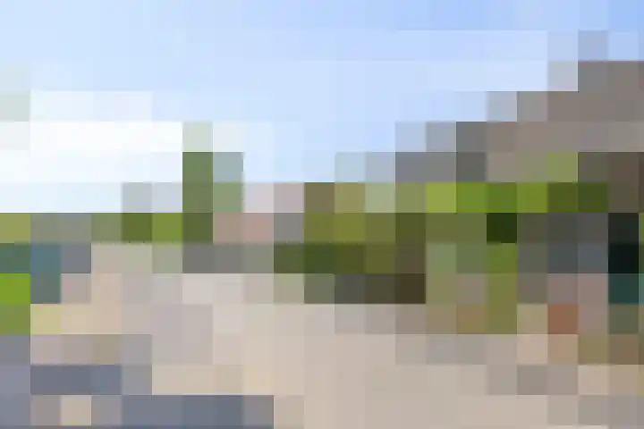 Waalbandijk 40 Gameren thumbnail 7