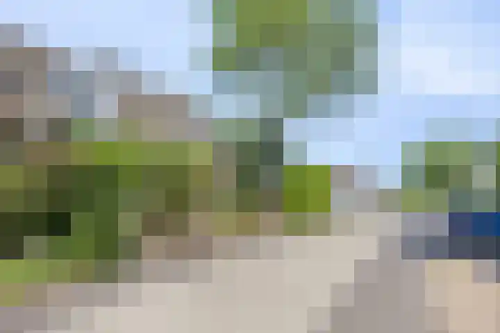 Waalbandijk 40 Gameren thumbnail 8
