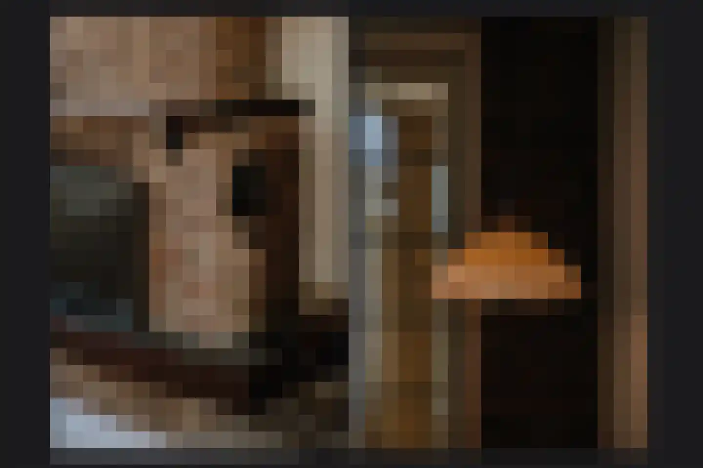 Waalbandijk 40 Haaften thumbnail 10