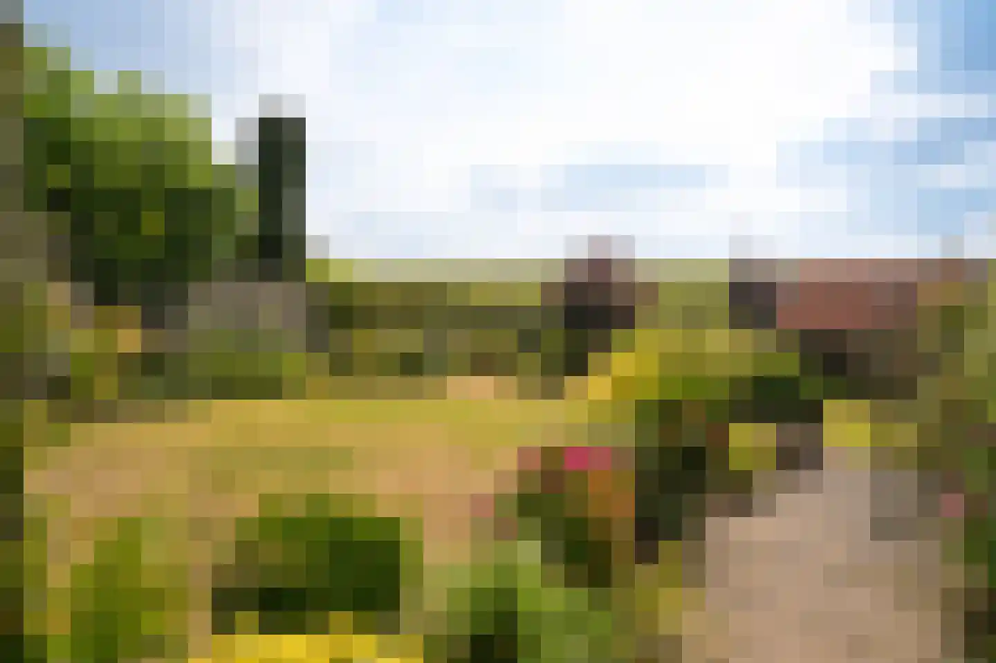 Waalbandijk 40 Haaften thumbnail 20
