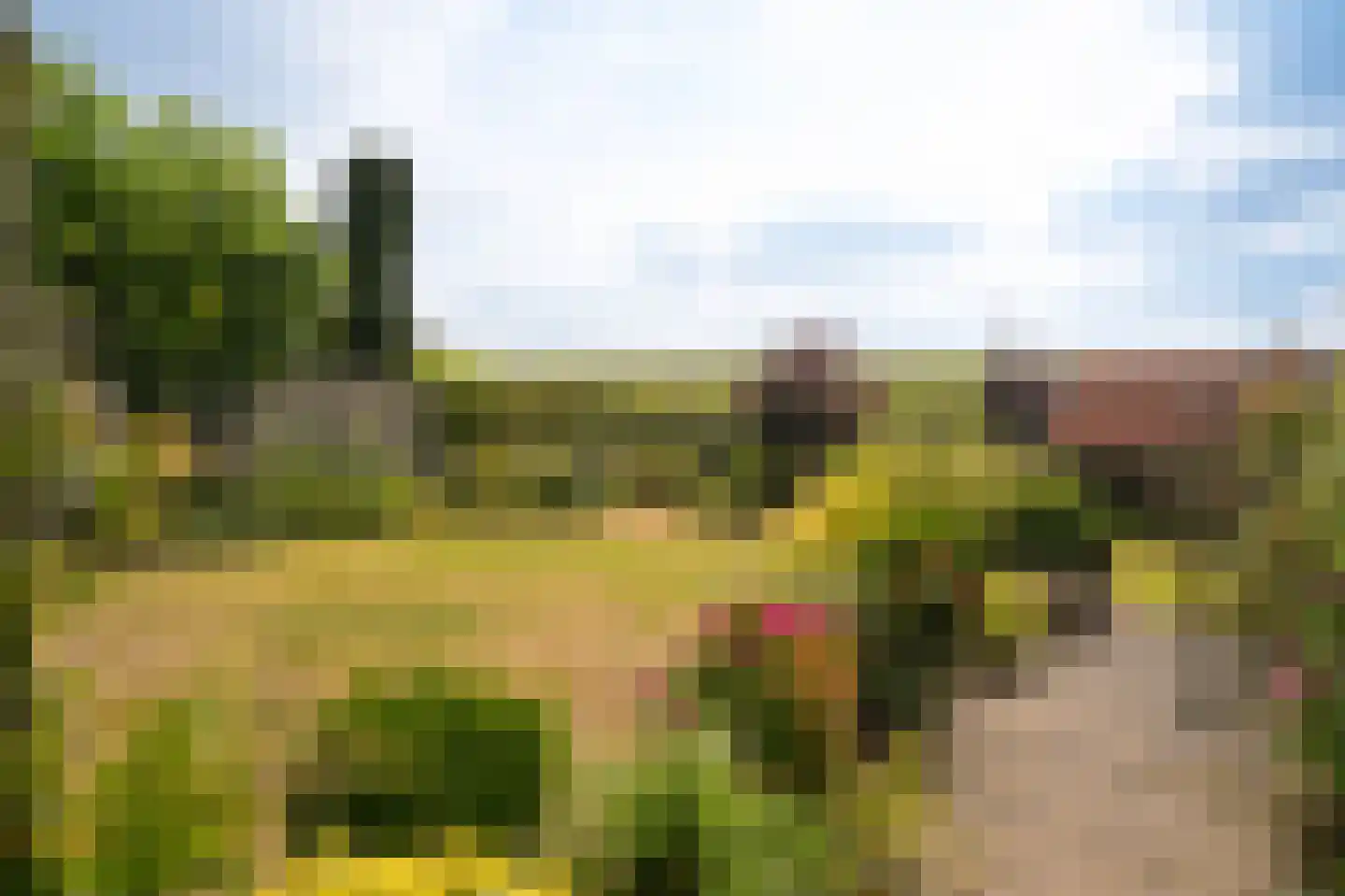 Waalbandijk 40 Haaften thumbnail 20