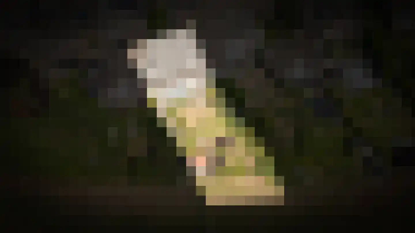 Waalbandijk 40 Haaften thumbnail 4