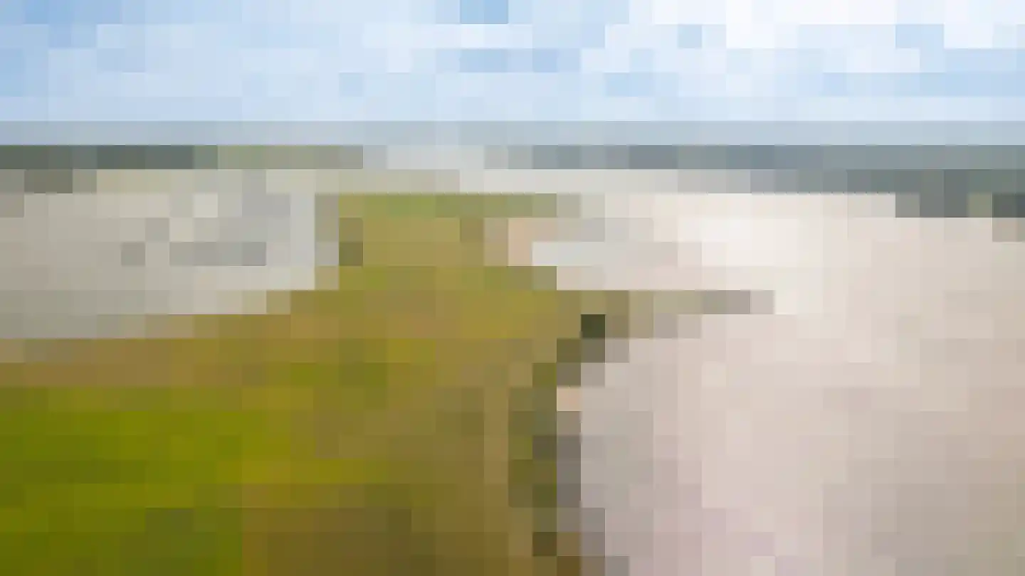 Waalbandijk 40 Haaften thumbnail 42
