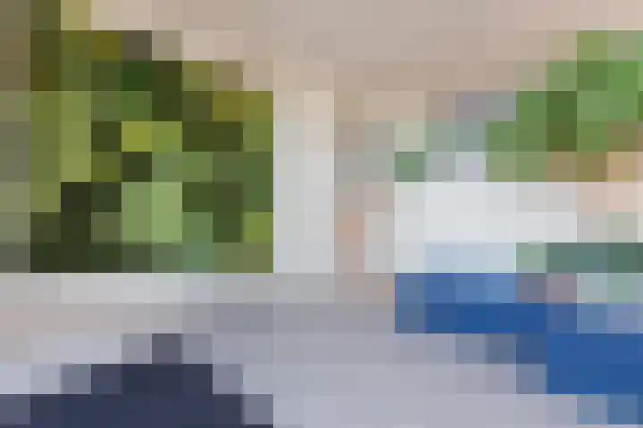 Waalbandijk 409 Nijmegen thumbnail 5