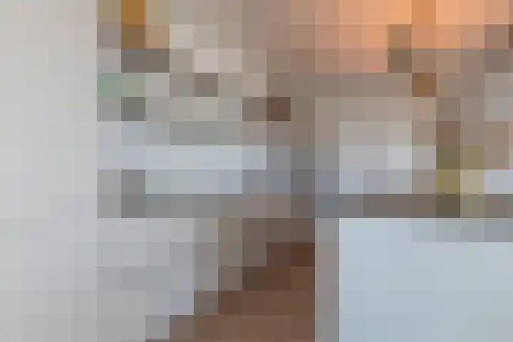 Waalbandijk 409 Nijmegen thumbnail 8