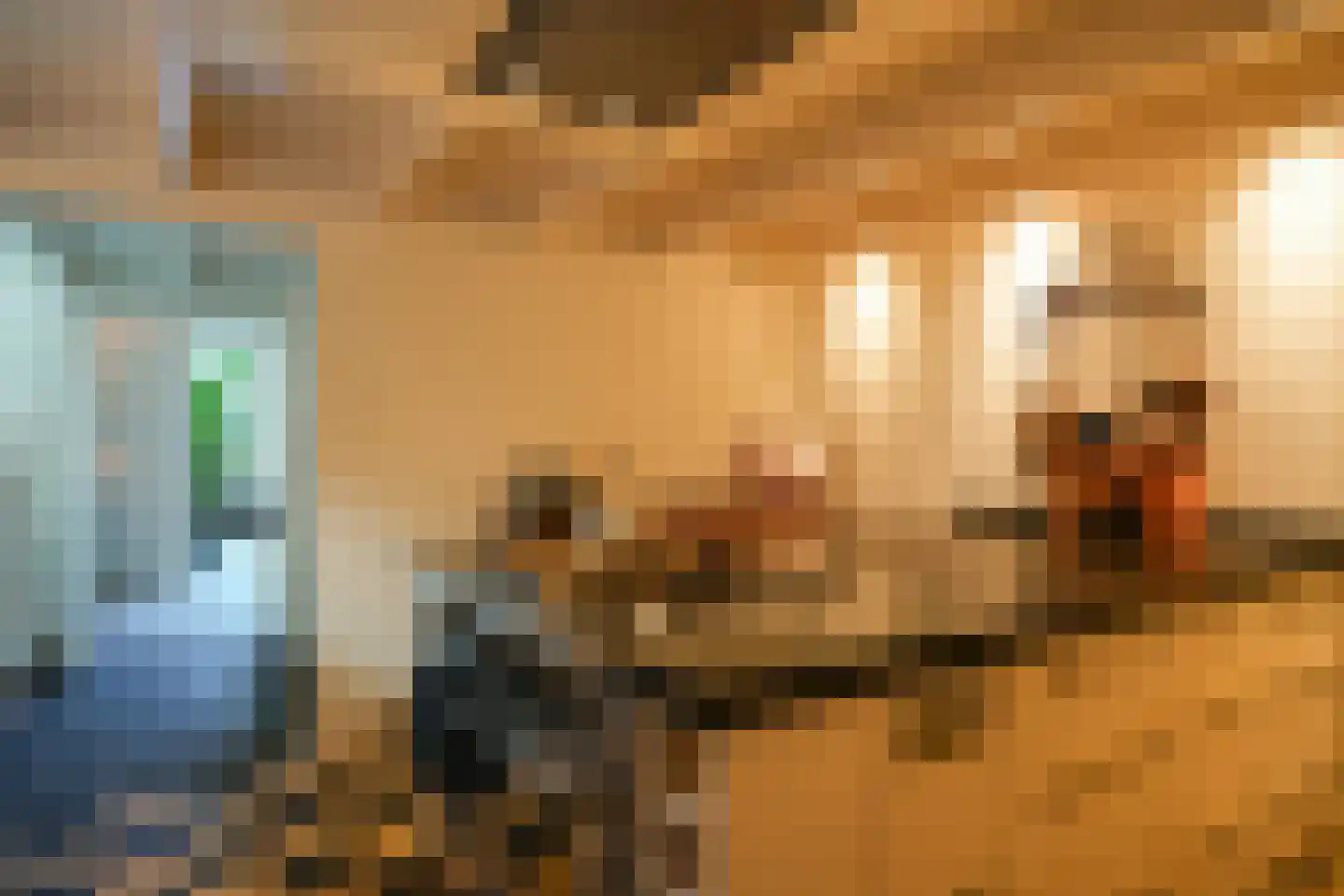 Waalbandijk 42 Gameren thumbnail 19