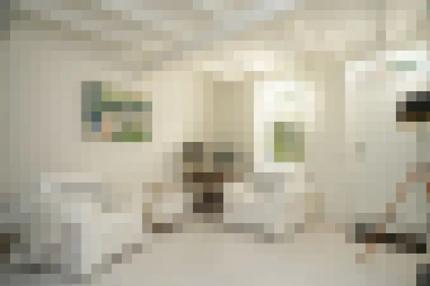 Waalbandijk 42 Gameren thumbnail 26