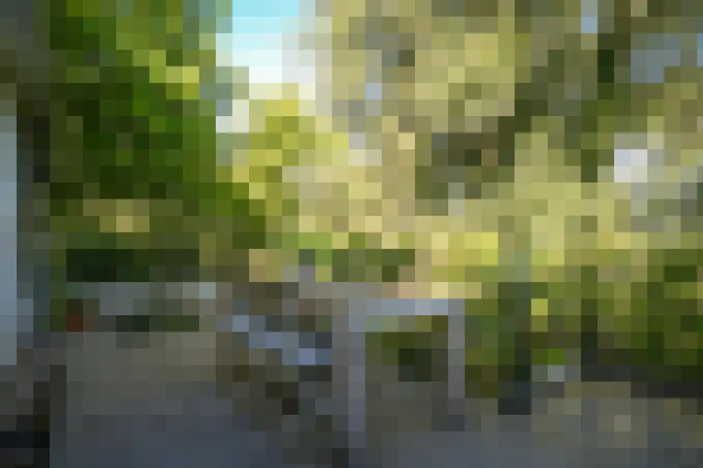 Waalbandijk 42 Gameren thumbnail 39