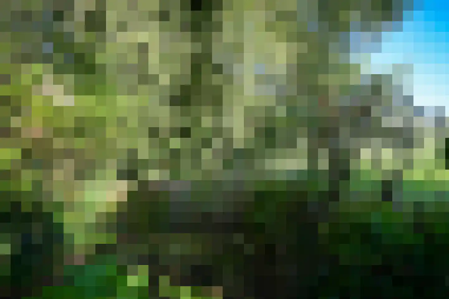 Waalbandijk 42 Gameren thumbnail 43