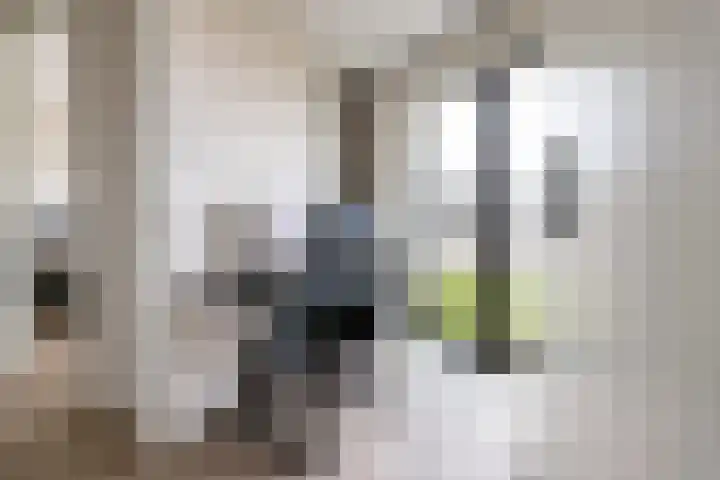 Waalbandijk 421 Nijmegen thumbnail 22