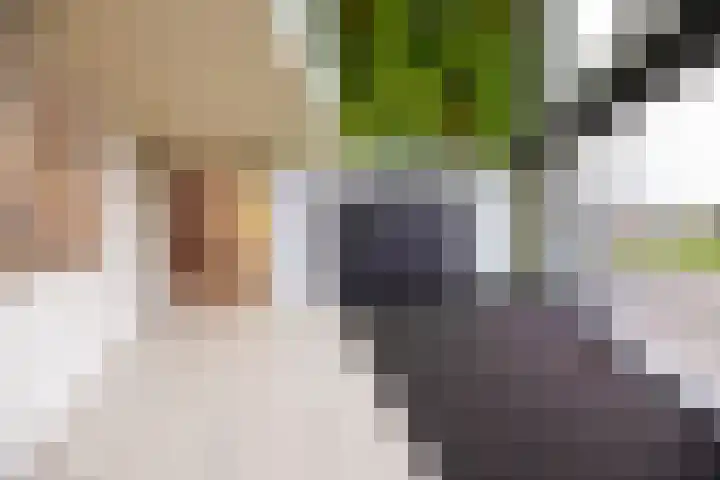 Waalbandijk 421 Nijmegen thumbnail 8