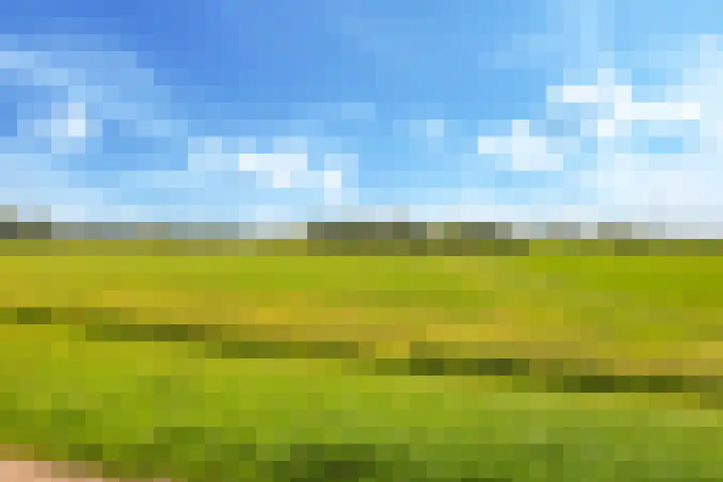Waalbandijk 46 Dodewaard thumbnail 100