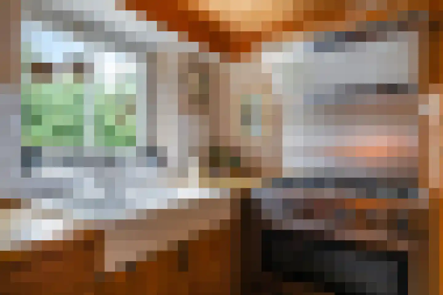 Waalbandijk 46 Dodewaard thumbnail 12