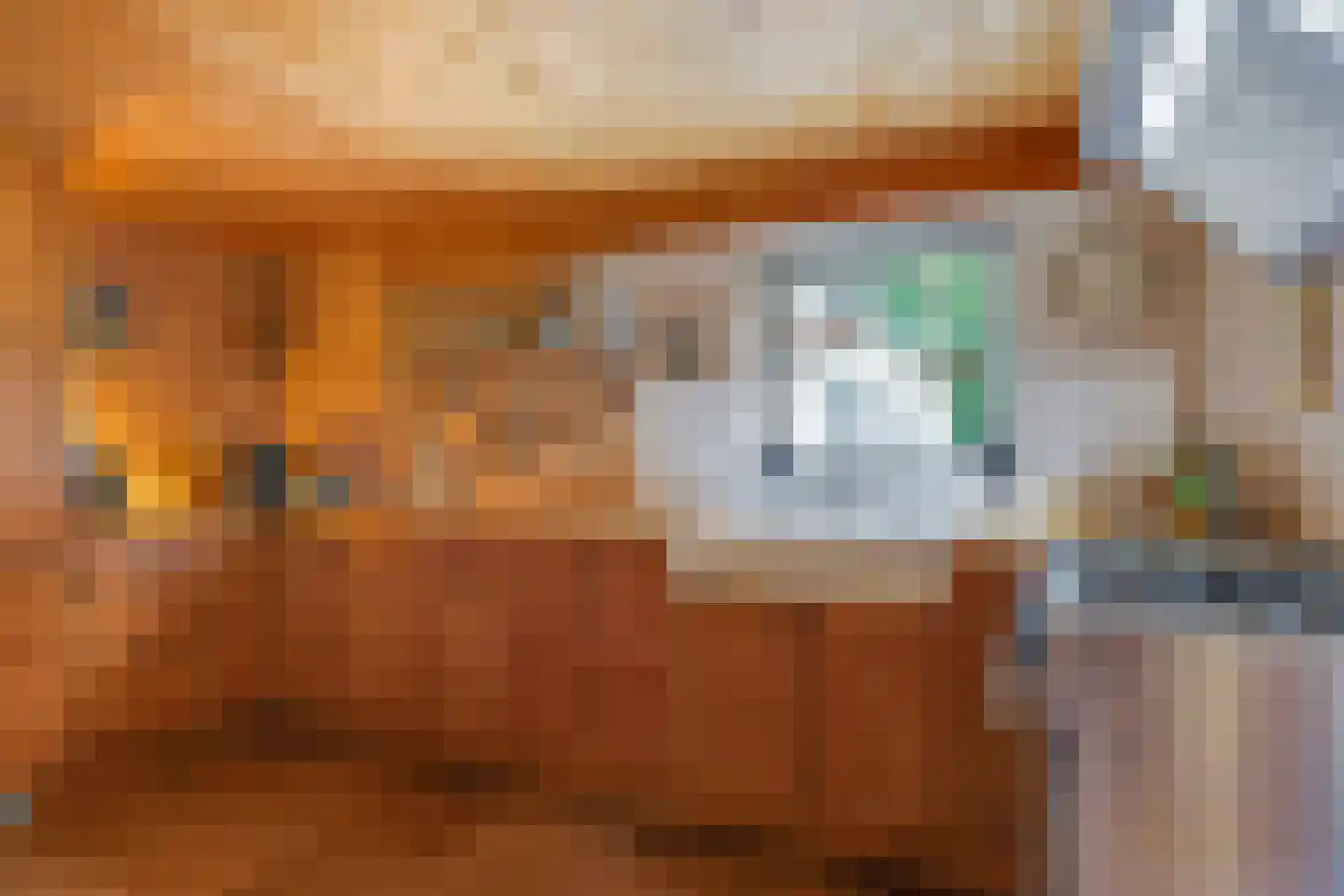 Waalbandijk 46 Dodewaard thumbnail 13