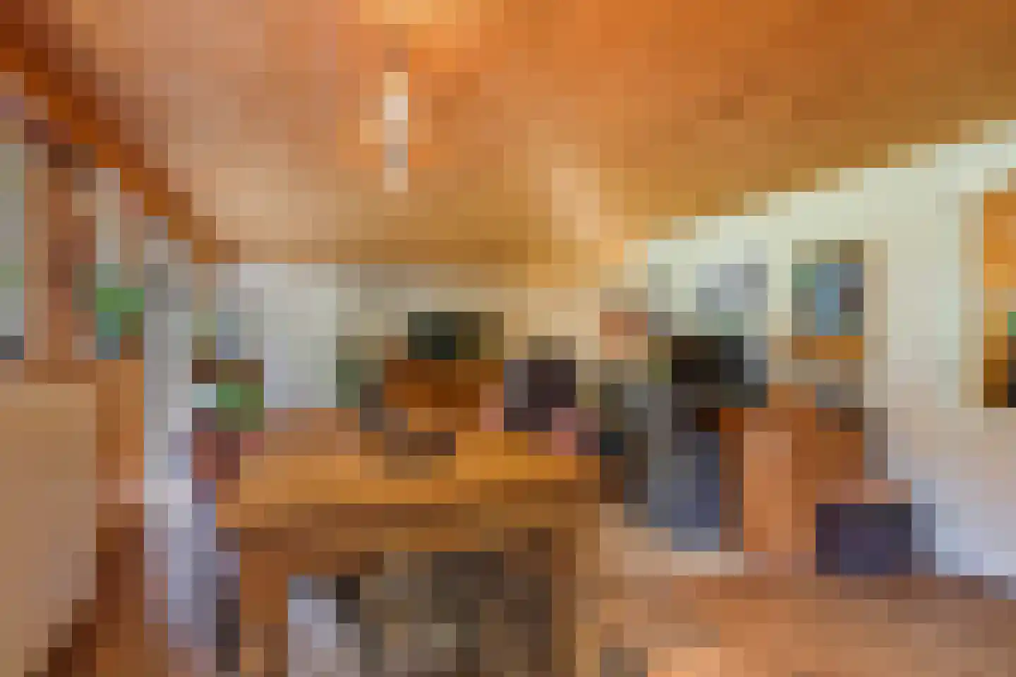 Waalbandijk 46 Dodewaard thumbnail 14